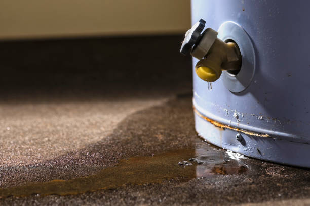 Best Commercial water damage restoration  in Rochester, WI