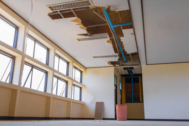 Best Water damage restoration near me  in Rochester, WI