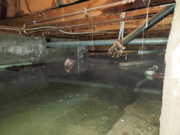 Best Ceiling water damage repair  in Rochester, WI