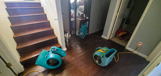 Water damage restoration insurance claims in Rochester, WI