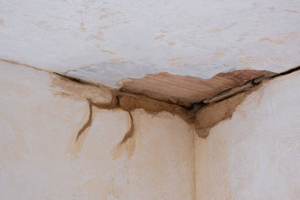 Best Fire Damage Restoration  in Rochester, WI