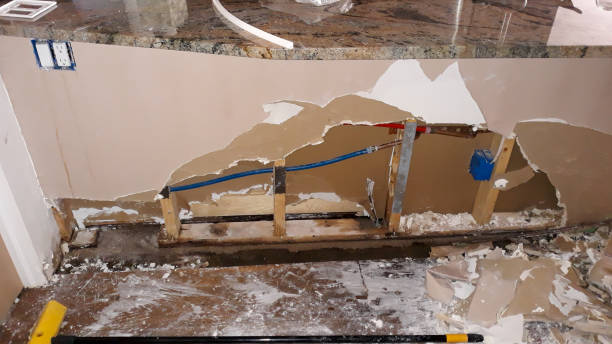 Best Flood damage cleanup  in Rochester, WI