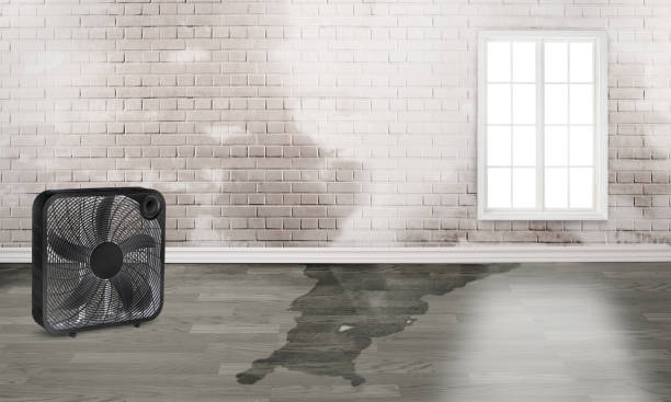 24/7 water damage repair in Rochester, WI