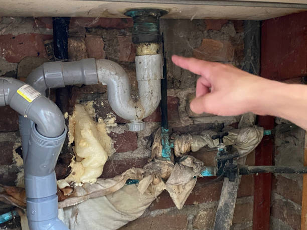 Best Water damage restoration near me  in Rochester, WI
