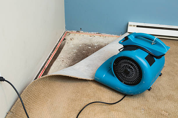Best Water damage restoration experts  in Rochester, WI
