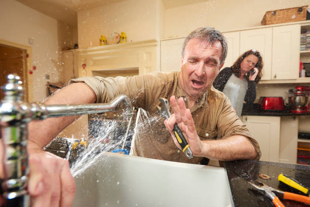 Best Sewage cleanup and water damage restoration  in Rochester, WI